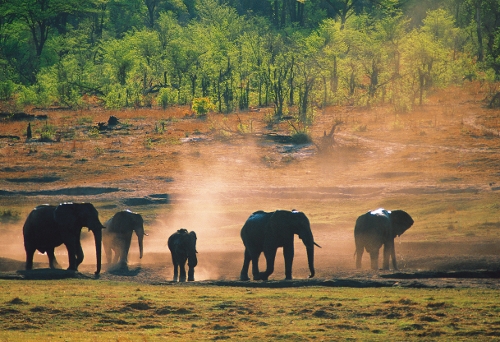 Mit Gebeco die Schönheiten Afrikas entdecken