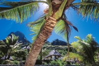 Paradiesisches Inselhopping in der Südsee