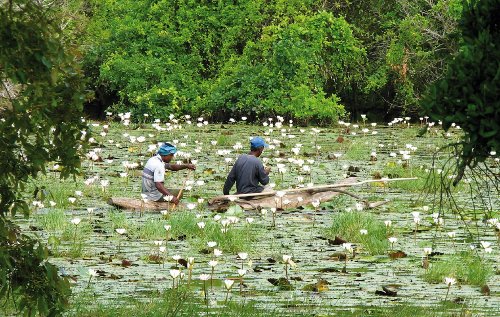 Einmalige Dschungel-Erlebnisse